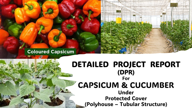 Government scheme advisory and polyhouse detailed project report